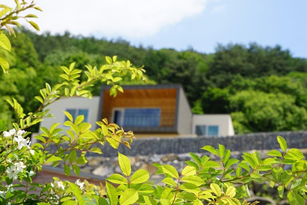 MOONLIGHT VILLAGE PENSION