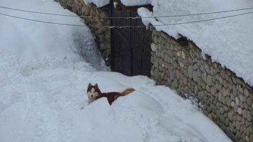 FAMILY HOTEL SANTO BANSKO