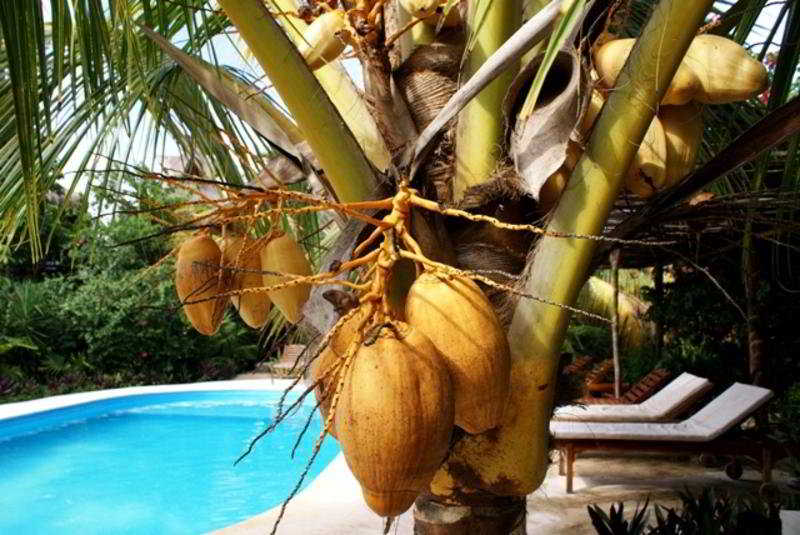 GREEN TULUM CABANAS AND GARDENS