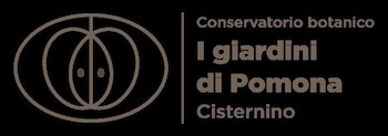 LA LINEA DELL'ORIZZONTE