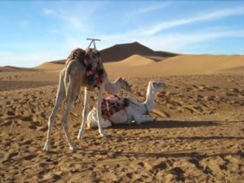 BIVOUAC LES DUNES DE TINFOU