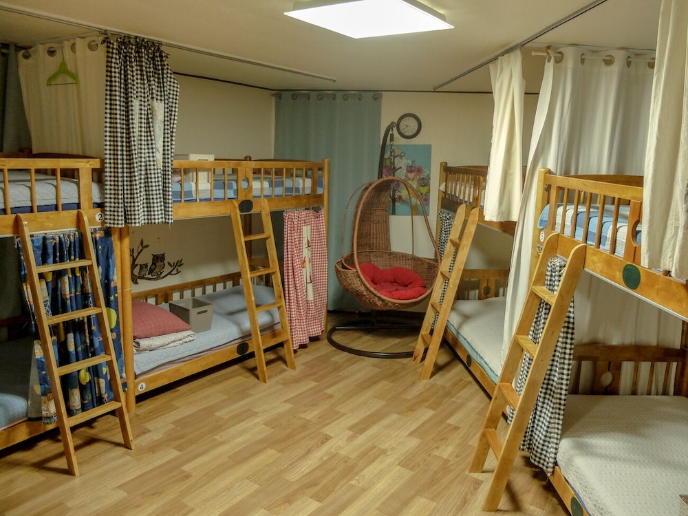 OWL'S NEST GUESTHOUSE - HOSTEL