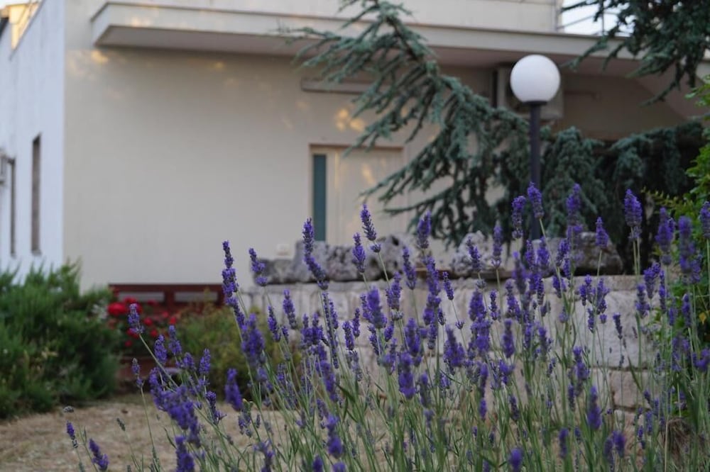 LA CASA DEL NONNO