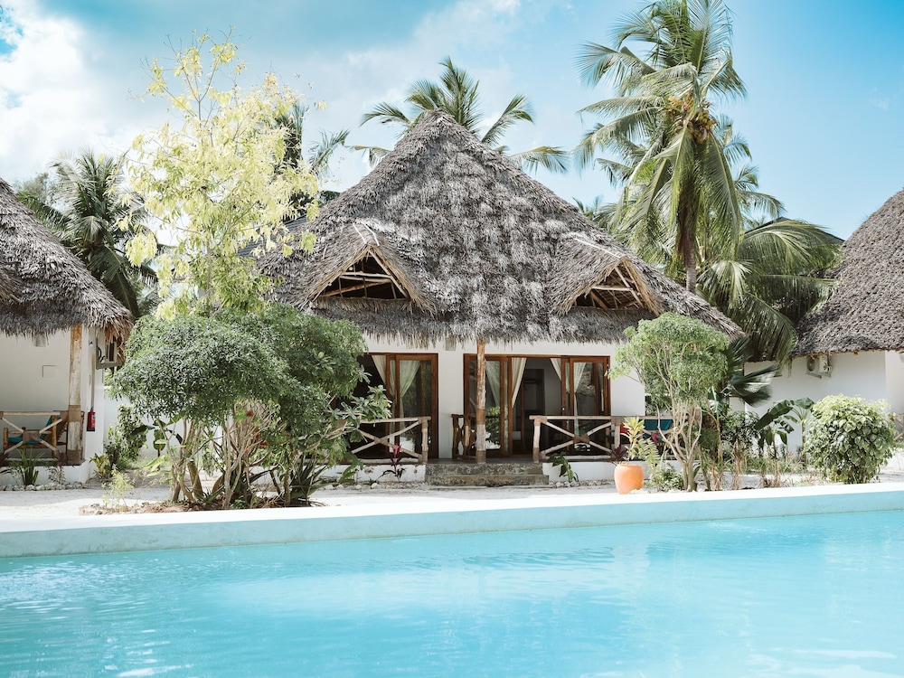JOY OF ZANZIBAR