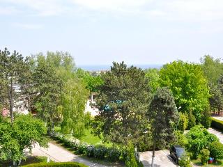DECEBAL NEPTUN