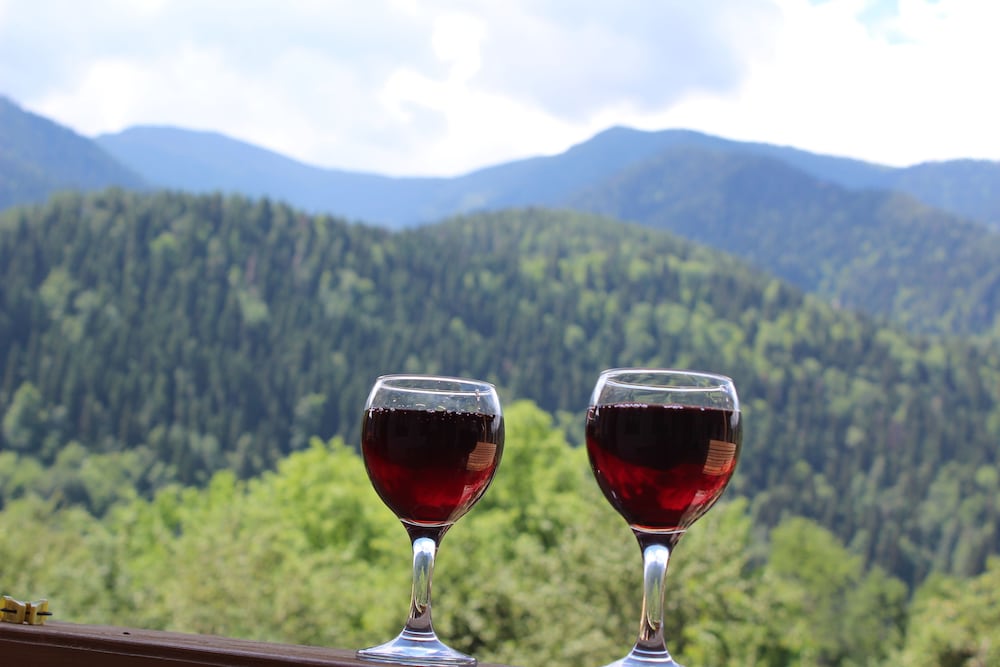 ECOHOUSE SVANETI