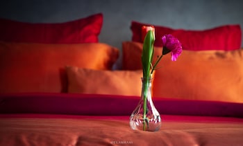 HOTEL ZIRYAB