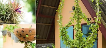 CASHEWNUT TREE BUNGALOWS