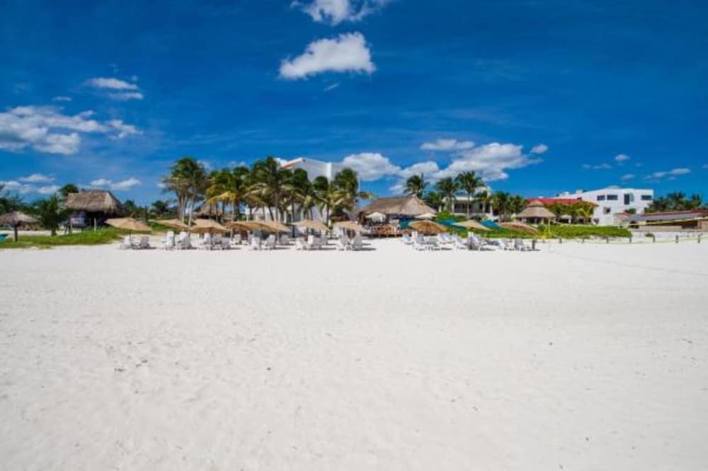 ARENA BEACH OCEANFRONT