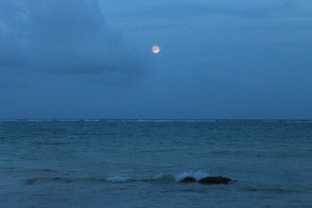 CIELO MAYA BEACH TULUM