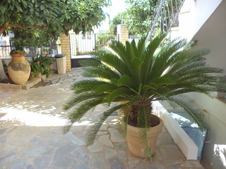 DIONYSIOS STUDIOS