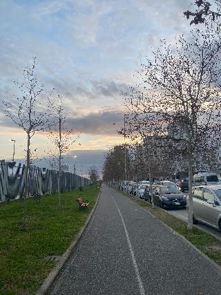 Enles