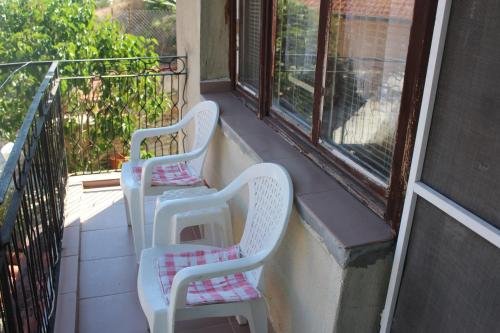 Eli Guest House