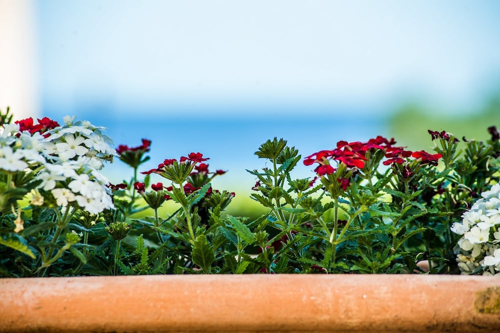 Amboula Beach Apartments