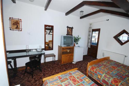 Pension Casa Bradul