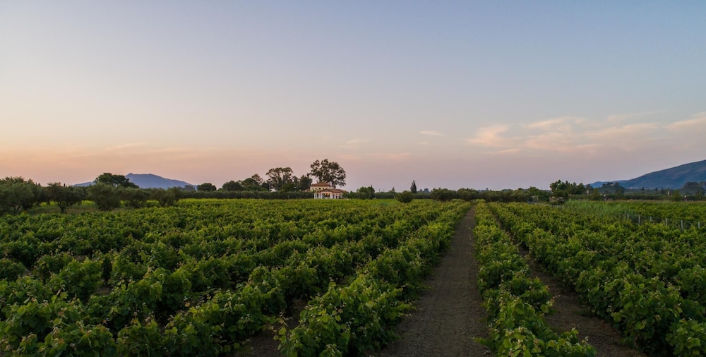 Aneli Villas  Villa Elissavet