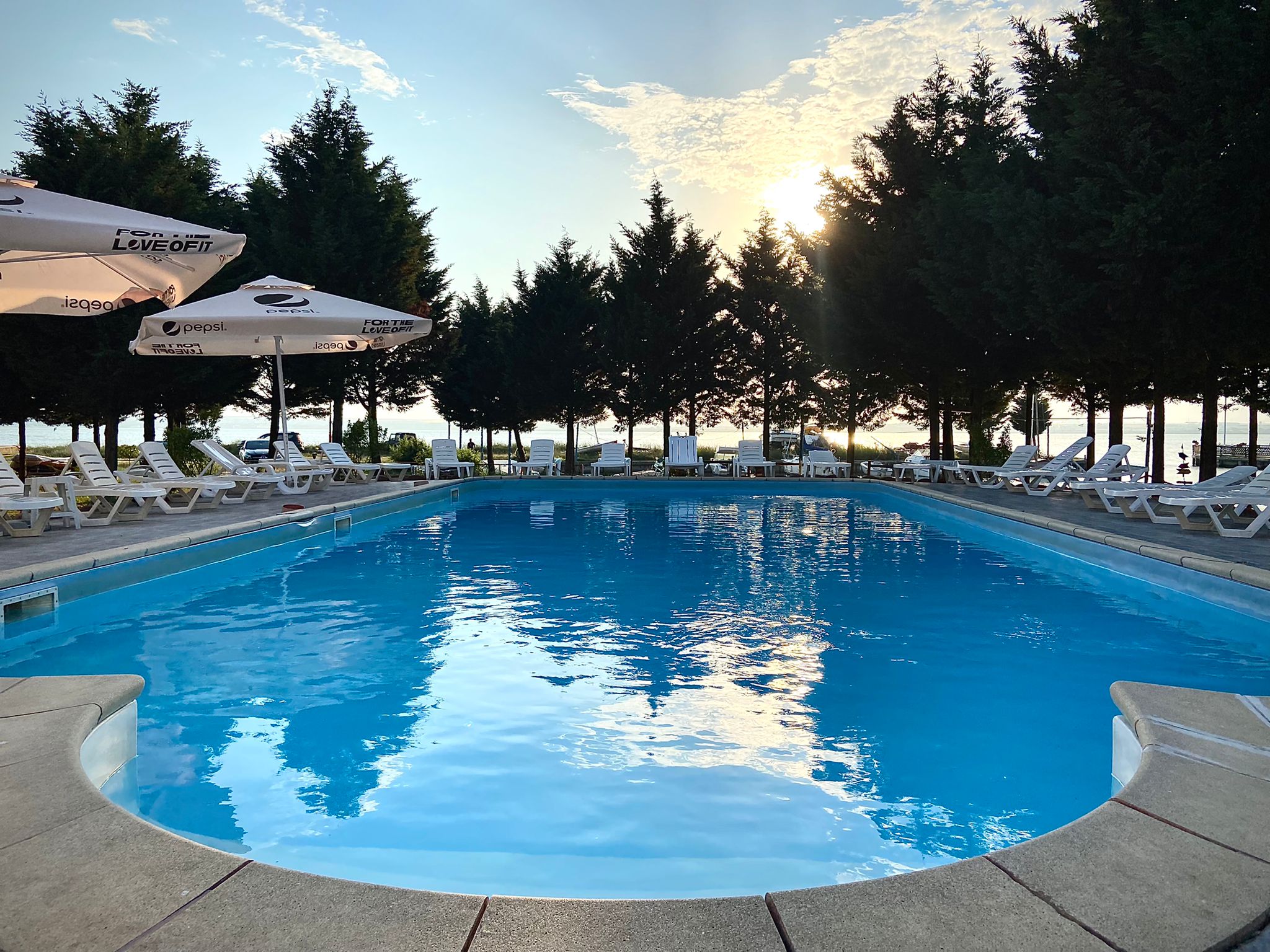 Voila Mamaia