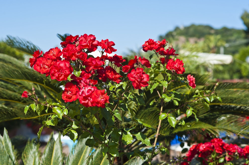 Hotel Casa Di Meglio