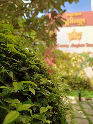 Starry Angkor Hotel