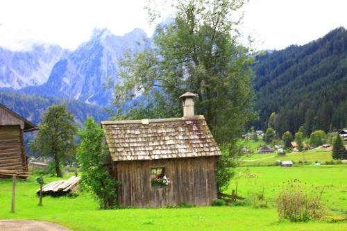 Hotel Restaurant Gosauerhof