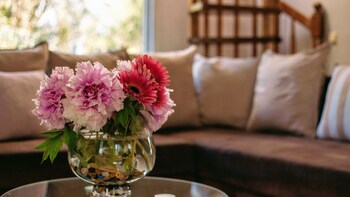 dal travel VILLA CLAIRE CORFU
