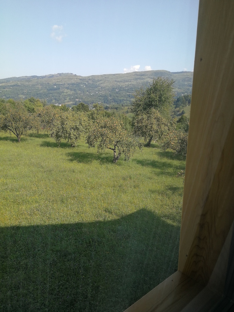 poza_1