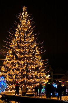 poza_3
