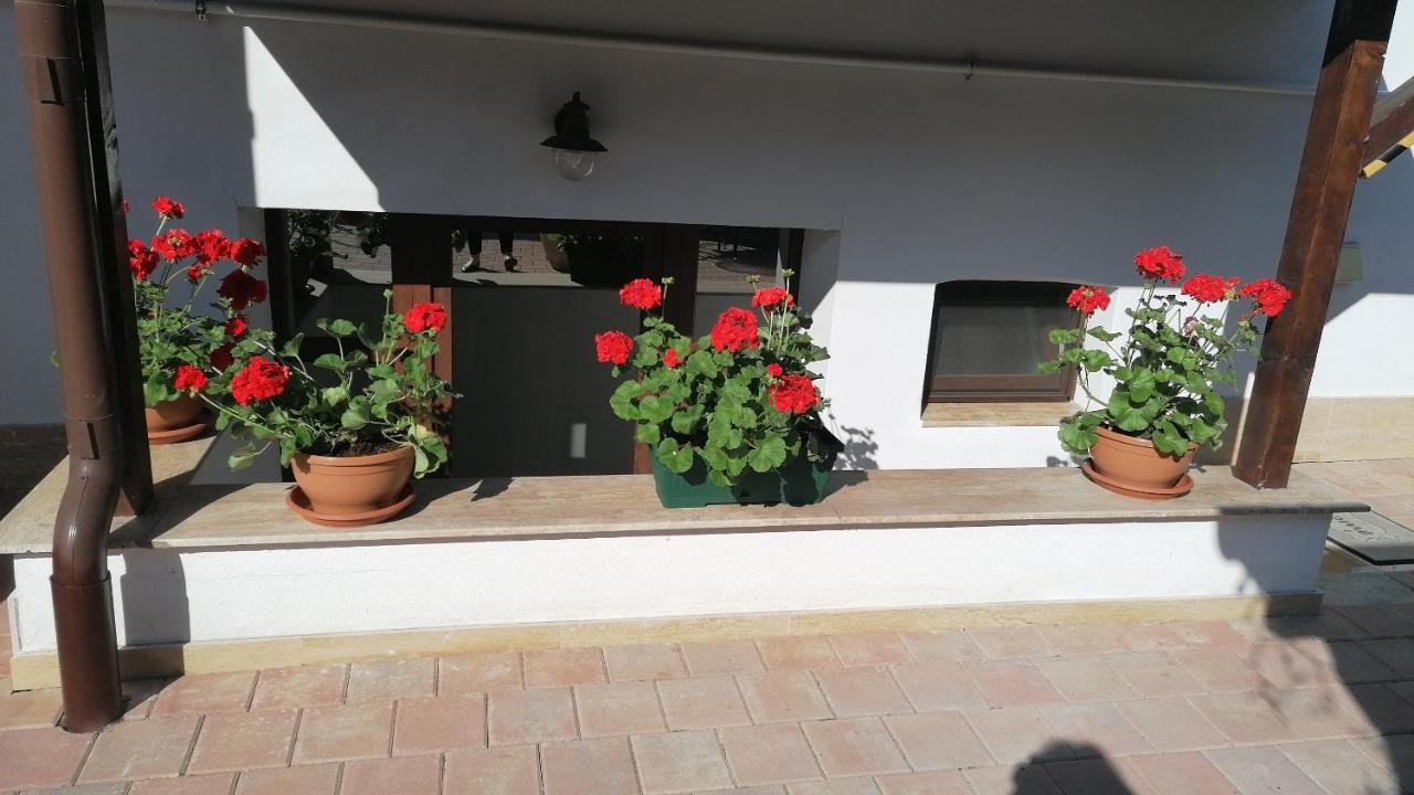 poza_7
