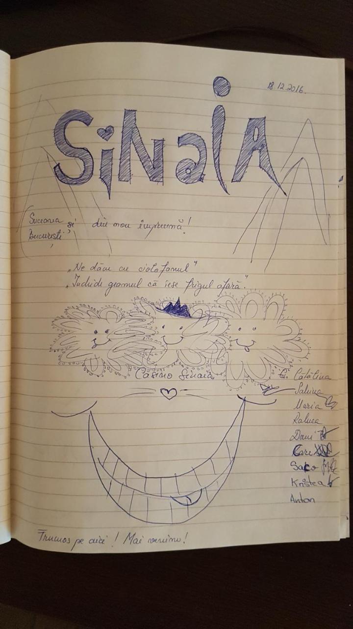 poza_3