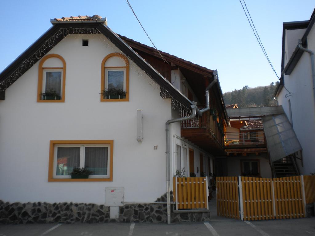 poza_7