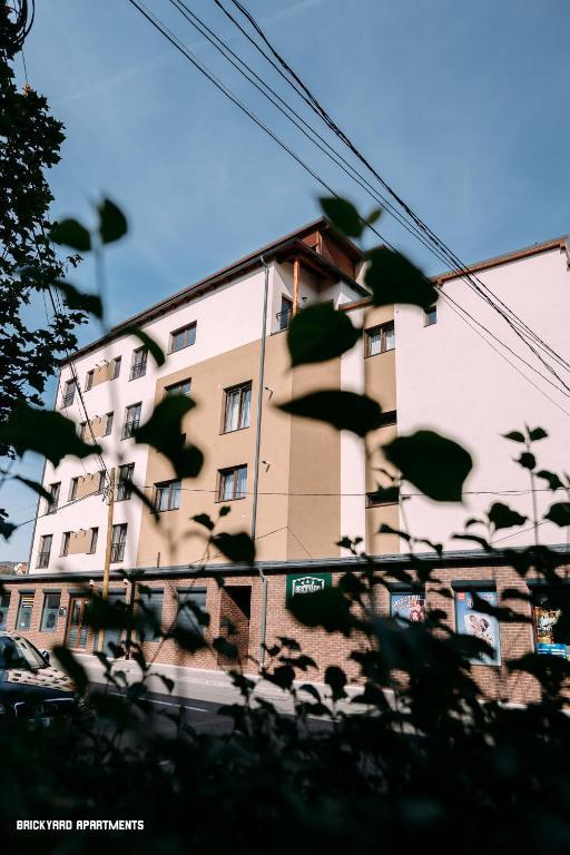 poza_2