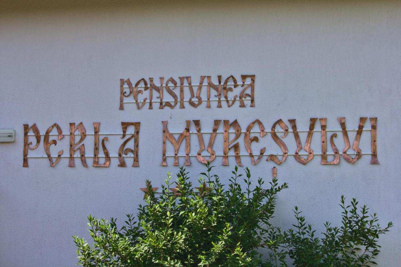 poza_5