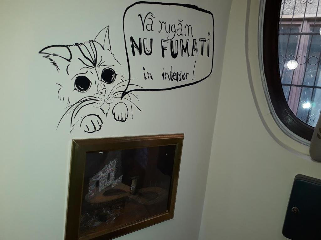 poza_9